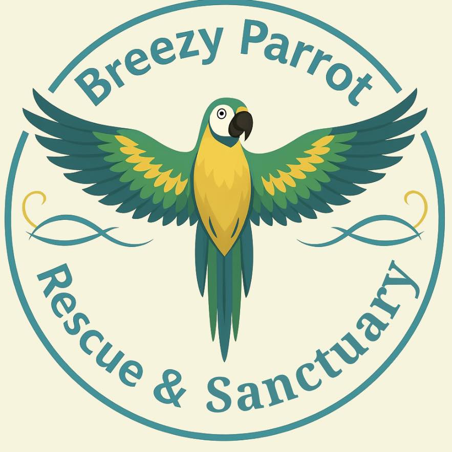 Breezy Parrot Rescue